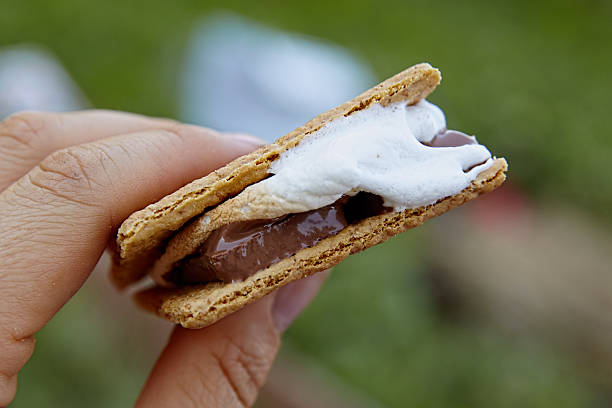istock Homemade Smores 487194566