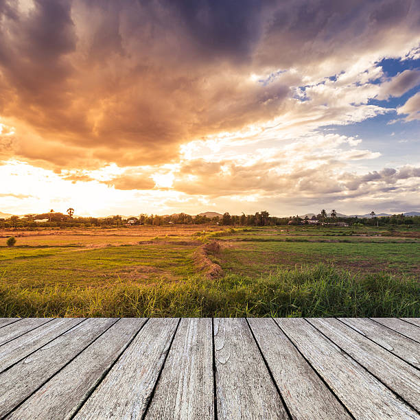 istock wood floor and field meadow with beautiful sunset 487195912