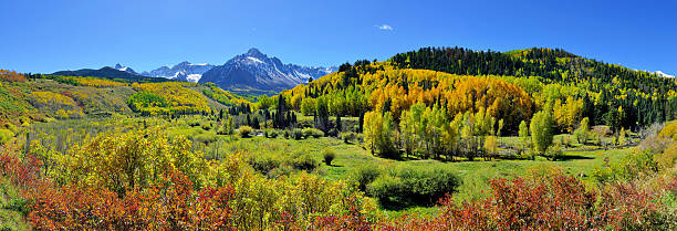 istock beautiful panoramic alpine scenery during foliage season 487201132