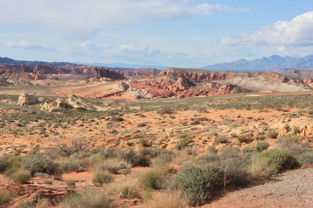 istock Multicolored Landscape, Valley of Fire - Nevada 487201199