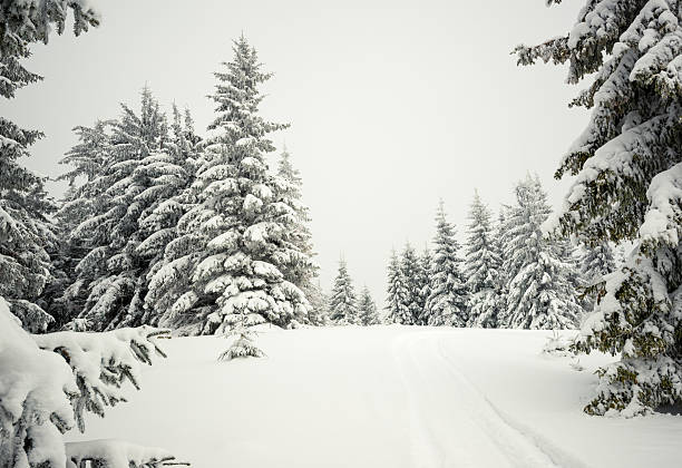 istock Foggy winter landscape in the mountains 487201360