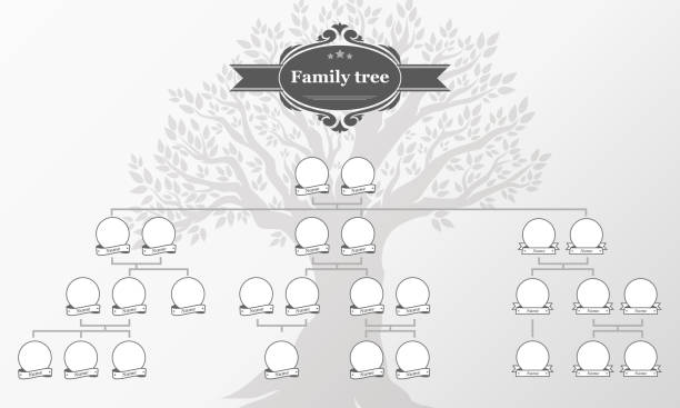 ilustrações, clipart, desenhos animados e ícones de árvore genealógica de sua família. - árvore genealógica