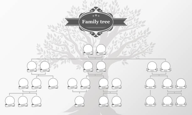 Genealogical tree of your family. Genealogical tree of your family. Hand drawn oak tree.  Vintage style for retro design. family tree stock illustrations