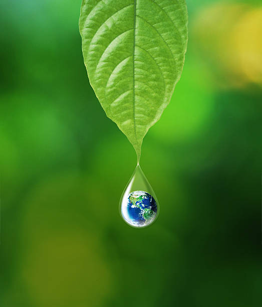 Water and Earth Earth in water drop reflection under green leaf, Elements of this image furnished by NASA water balls for plants pictures stock pictures, royalty-free photos & images