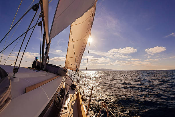 istock Sailing boat wide angle view in the sea 487202534
