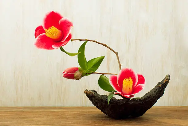 ikebana with camellia flowers on a table