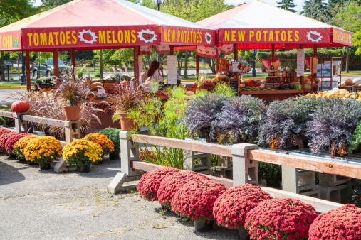 Fall produce for sale at a farm stand in Wayzata, Minnesota
