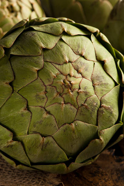 Raw Organic Green Artichokes