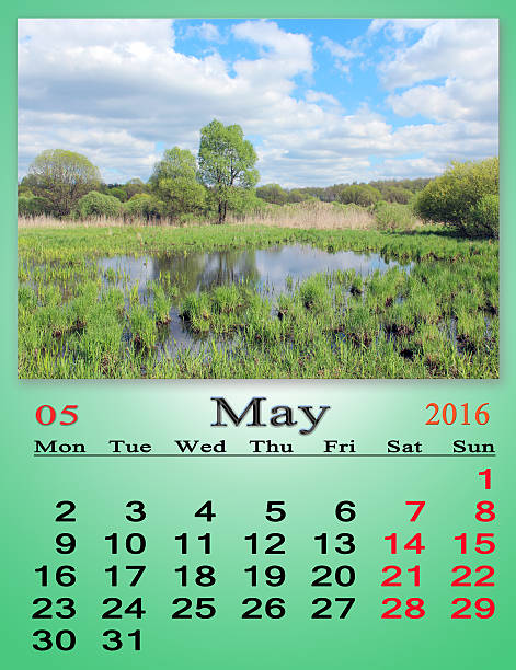 istock calendar for May 2016 on the background of spring 487209994