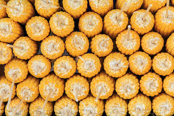 Corn
