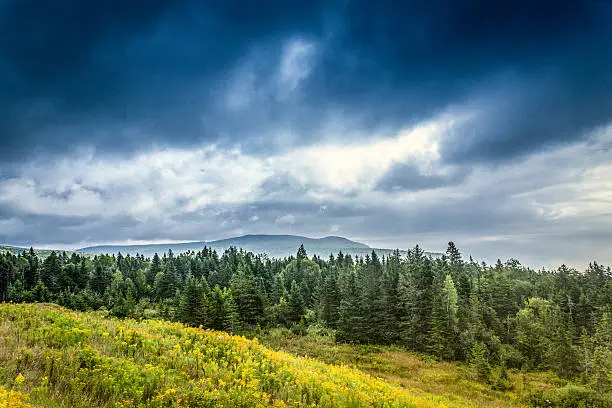 The beautiful Caledonia Highlands of Fundy National Park, New Brunswick, Canada. The park is situated in the transition zone where, to the North, lies a strictly boreal coniferous forest and, to the South, a forest dominated by deciduous trees.