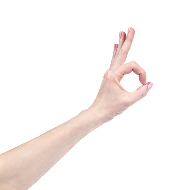 istock Female hands isolated on white background 487217590