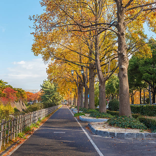 istock Walking Path along side Nagoya Castle in Nagoya 487220611