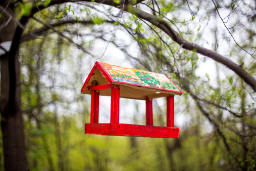 pretty painted wooden bird feeder hanging from а tree in a garden