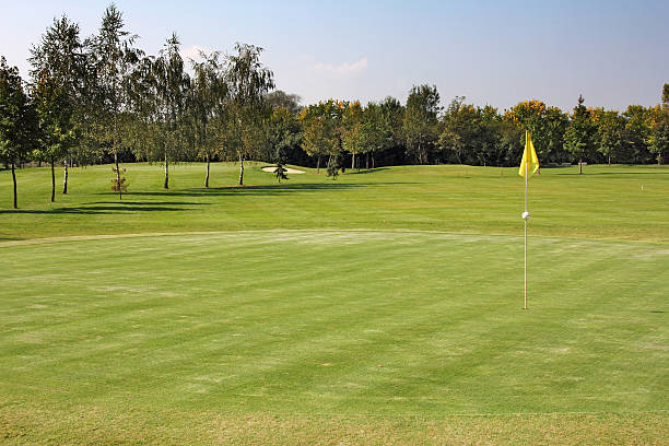 istock Holes of golf 487221067