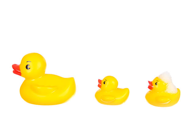 Three Rubber Ducks stock photo