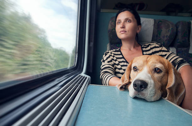 istock Woman with dog in the train wagon 487221716