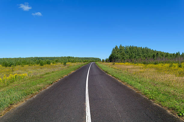 istock Rural asphalt road with markings that passing through the meadow 487221818