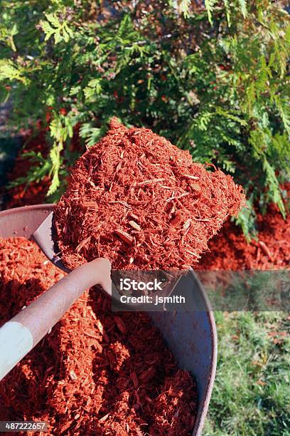 Mulching Bushes With Shovel And Wheelbarrow Stock Photo - Download Image Now - Mulch, Red, House