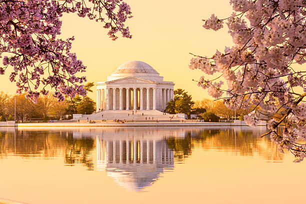 istock Beautiful early morning Jefferson Memorial 487223435
