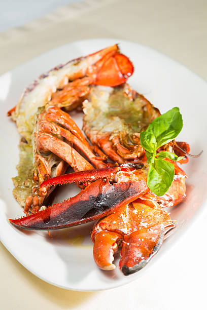 istock organic lobster on dish with lemon slices 487224321