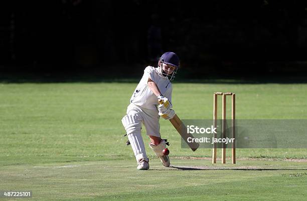 Young Boy Playing Cricket Shot Stock Photo - Download Image Now - Sport of Cricket, Cricket Player, Cricket Field