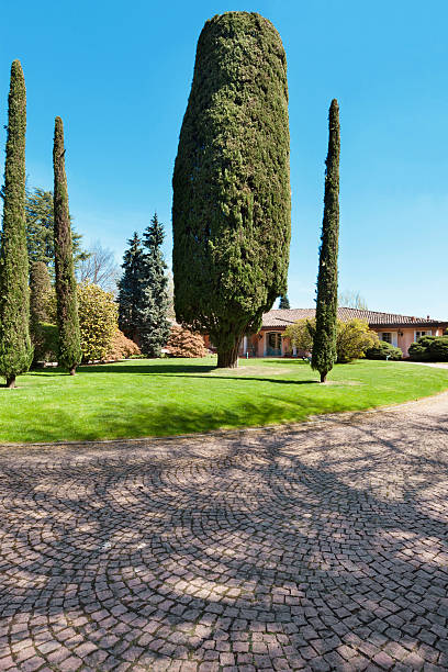 istock park of a villa 487225166