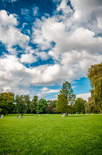 istock Beautiful view of park with meadow. 487225290