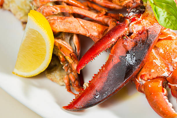 istock organic lobster on dish with lemon slices 487226493