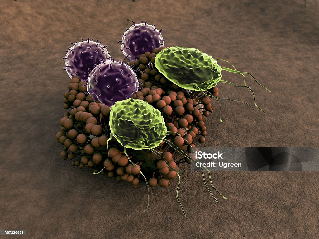 virus, mold T-lymphocytes attack colony of fungi,  lymphocytes and phagocytes attack colony of fungi,  macrophage and virus, Human Immune System attack the fungus Amoeba Stock Photo