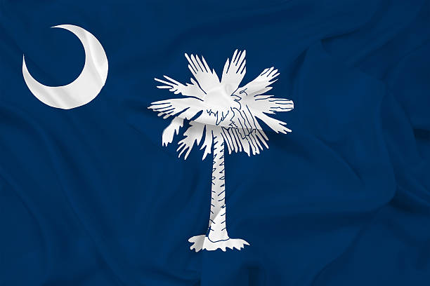 istock Waving South Carolina State Flag 487227617