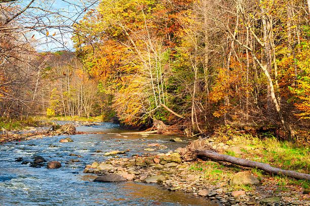 istock Meandering autumn creek 487228386