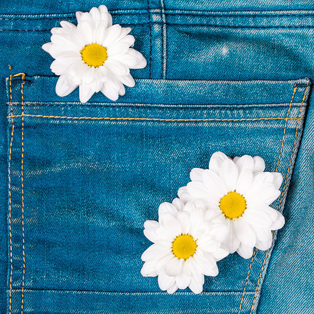 istock camomile in jeans pocket 487229296