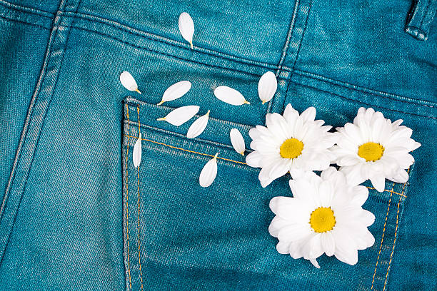 istock camomile in jeans pocket 487229298