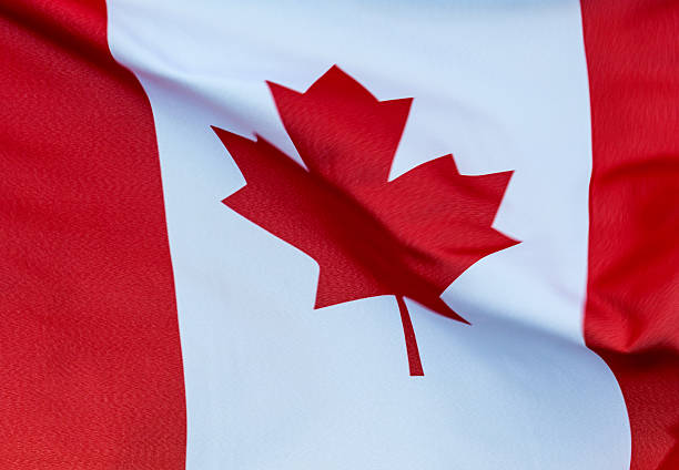 istock Waving Canadian flag 487229442