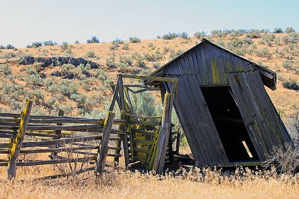 istock Leaning Weathered Outbuilding in the Wild West 487229824
