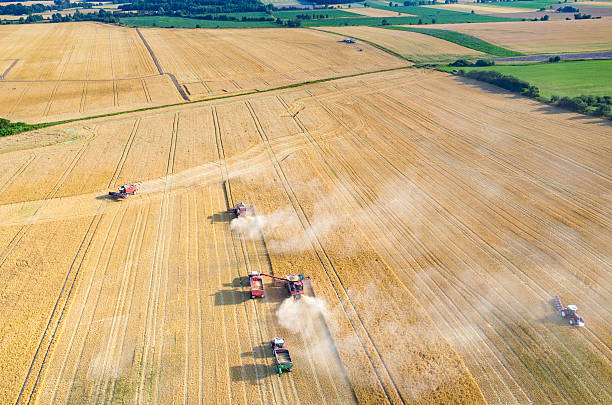 istock Combines and tractors working on the wheat field 487230050