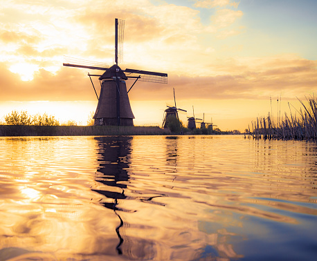18th Century traditional Dutch windmills reflected in water at sunrise, at Kinderdijk in South Holland.