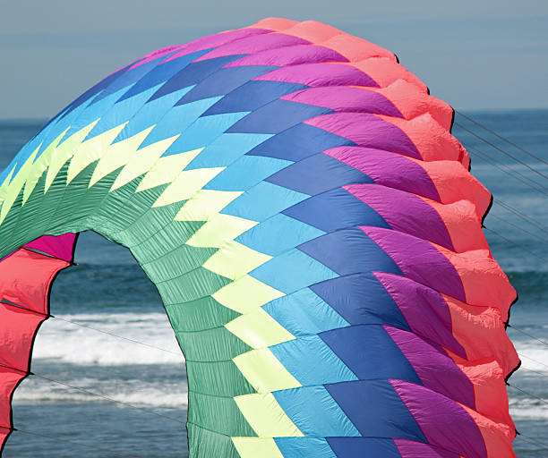 istock Colorful Kite at the Beach 487233408