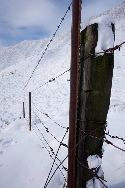 istock Snowed in Barbed Wire Fence 487234334