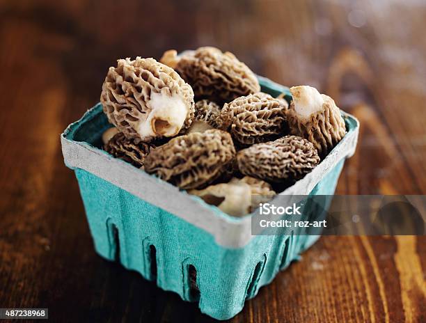 Freshly Picked Morel Mushrooms In Basket Stock Photo - Download Image Now - 2015, Basket, Brown