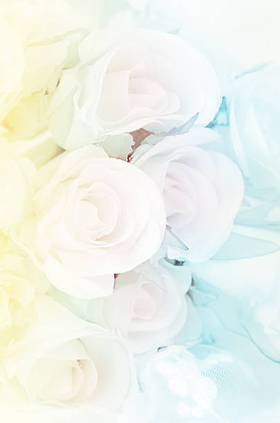 istock Rose Bouquet with Soft Focus Color Filtered as Background. 487243176
