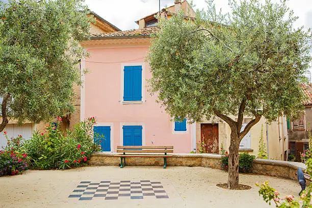 Provencal street with typical houses with olive trees in southern France, Provence