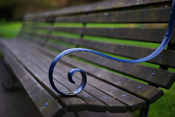 Park bench with graceful curves taken at Queen's Park, New Westminster, BC, Canada using Sony A900 and Minolta legacy 50mm/f1.7 prime lens.