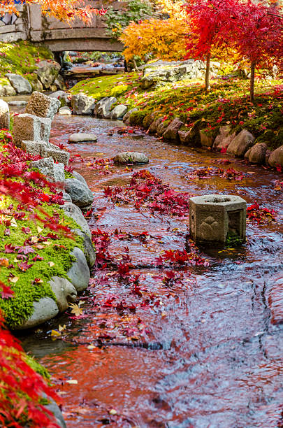 istock Japanese style garden in autumn (Koyo) 487250600
