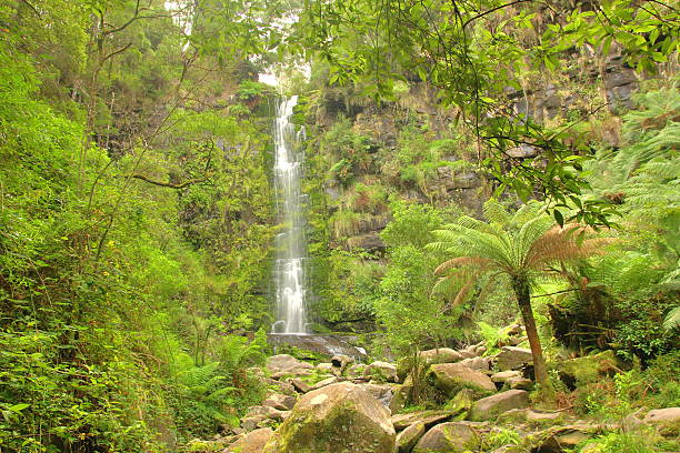 istock Erskine Falls along the Great Ocean Road 487251549
