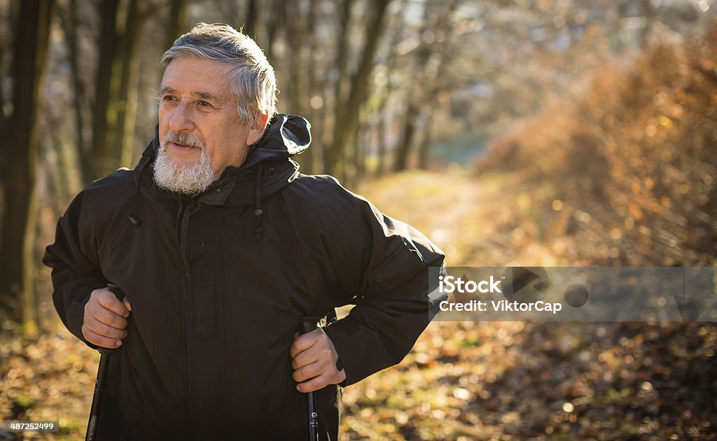 Senior man nordic walking Senior man nordic walking, enjoying the outdoors, the fresh air, getting the necessary exercise Exercising Stock Photo