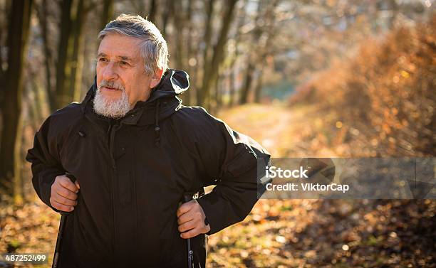 Senior Man Nordic Walking Stock Photo - Download Image Now - Exercising, Relaxation Exercise, Senior Men