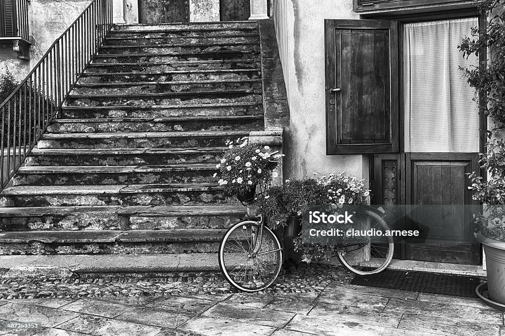 Vecchia bicicletta e fiore.  Bianco e nero - Foto stock royalty-free di Ambientazione esterna