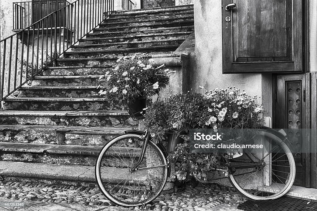 Vecchia bicicletta e fiore.  Bianco e nero - Foto stock royalty-free di Ambientazione esterna